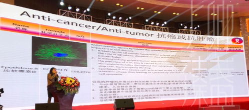 上卿臻盞創始人出席燕窩質量認證全球學術交流盛會，鞏固品牌在教育+服務行業的話語權