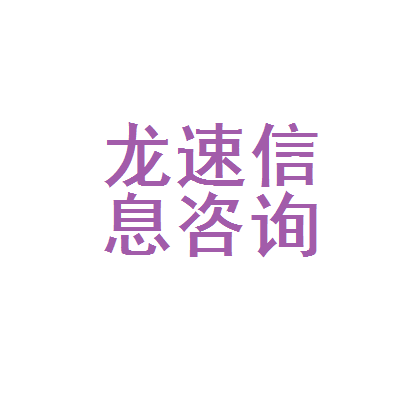 數(shù)字時(shí)代的導(dǎo)航者 北京龍速網(wǎng)絡(luò)信息咨詢服務(wù)的價(jià)值與探索